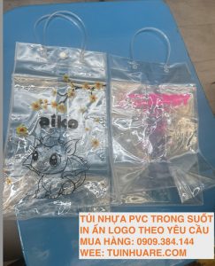 Túi nhựa PVC trong suốt