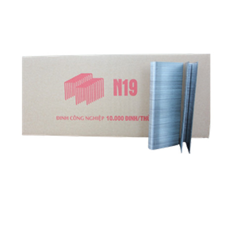 Đinh N19