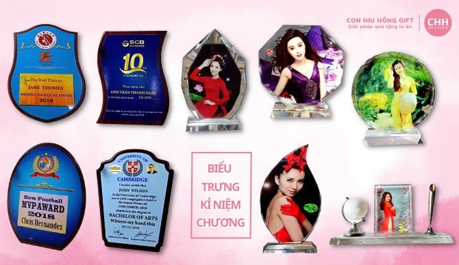 In biểu trưng kỉ niệm chương