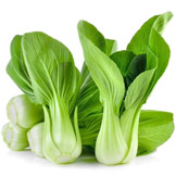 Cải dưa