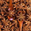 Autumn Star Anise