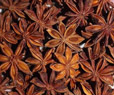 Spring Star Anise