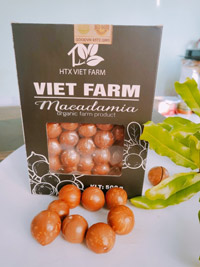 Macca - HTX Viet Farm