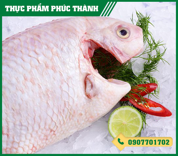 Cá diêu hồng