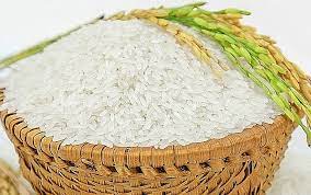 Gạo