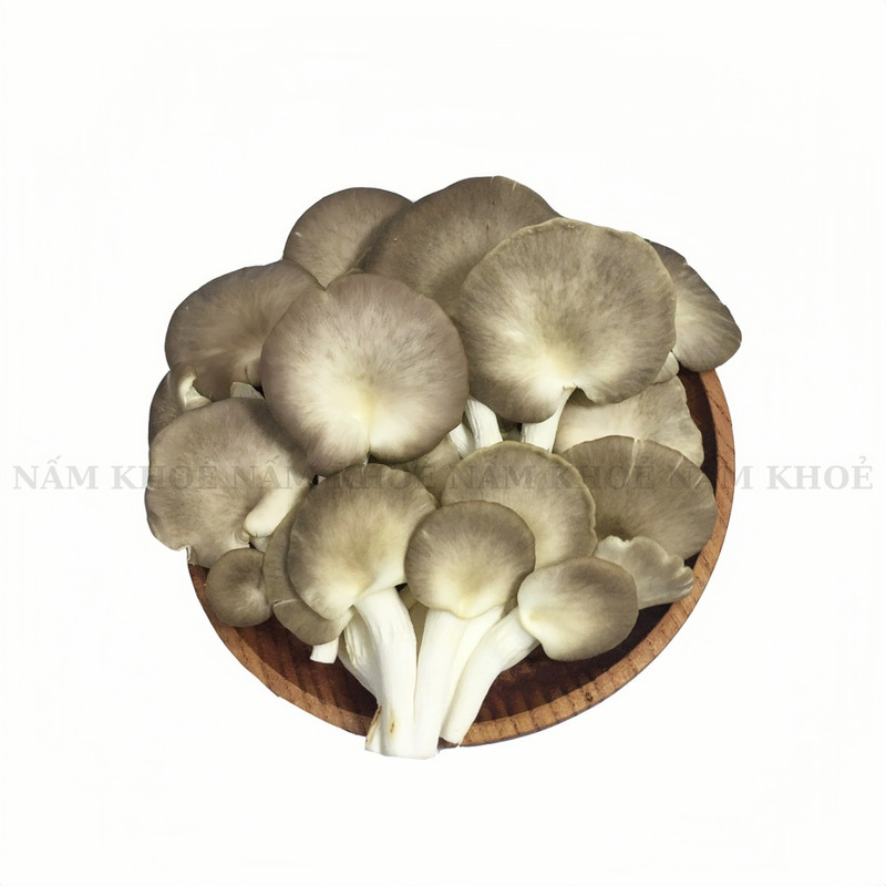 Nấm bào ngư xám