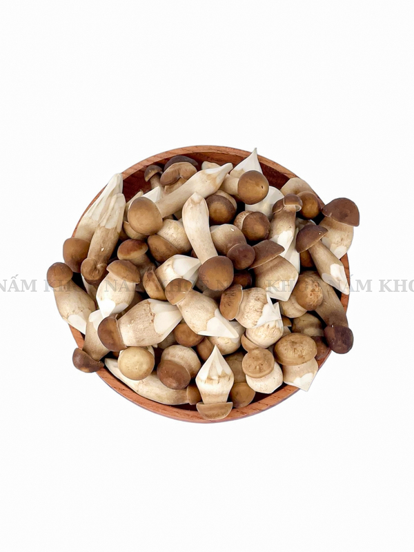 Nấm mối đen