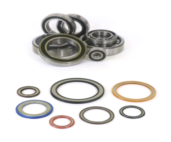 Ball Bearing Seals