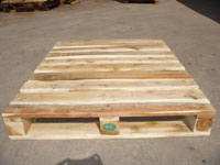 Pallet 100x120x15.6 cm