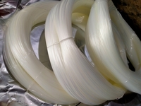 Dây cước PA 6
