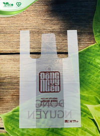 Túi 2 quai siêu thị