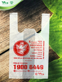 Túi 2 quai siêu thị