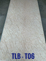 Tấm ốp vân đá PVC TLB-06