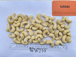 Cashew nuts WW210