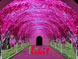 Tunnel immersive LED screen