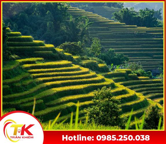 Tour Sapa