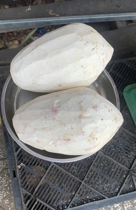 Khoai mỡ