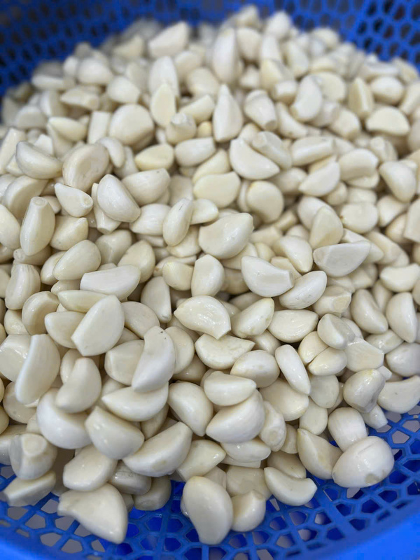 Tỏi