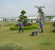 Dịch vụ cắt cỏ chăm sóc cây xanh
