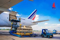 Dịch vụ vận chuyển quốc tế đường hàng không