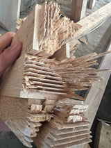 SP gỗ dán bằng keo TH-Adhesive