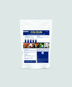 Colisun