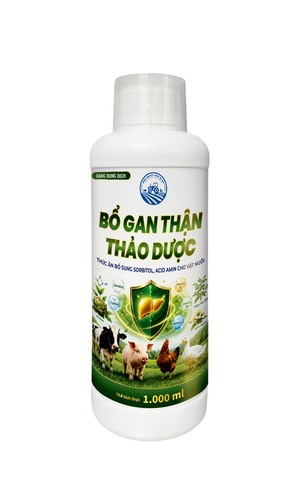 Bổ gan thận thảo dược