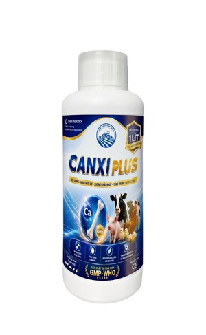 Canxi Plus