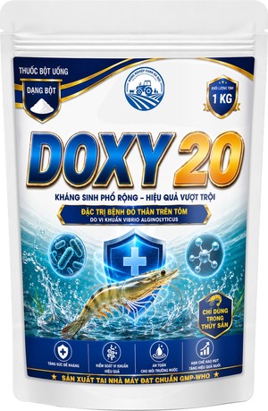 Doxy 20