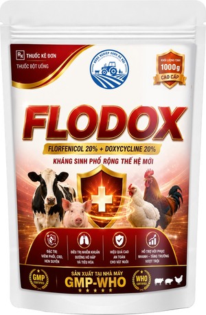 Flodox