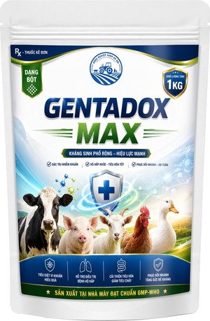 Gentadox max
