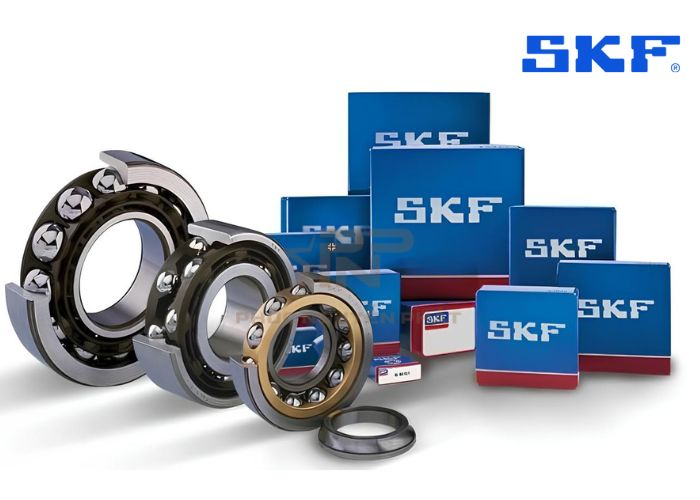 Vòng bi bạc đạn SKF