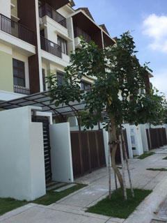 Dịch vụ xây dựng