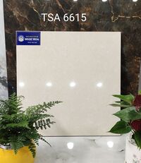 Gạch lát nền 6615