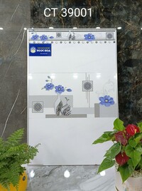 Gạch ốp tường 39001