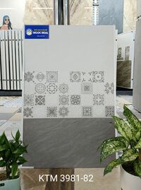 Gạch ốp tường 3981