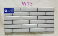 Gạch trang trí W13