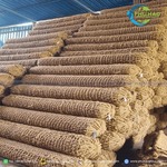 Gỗ xơ dừa phổ biến