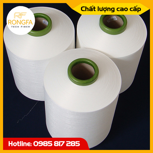 Sợi Nylon DTY SD 20D