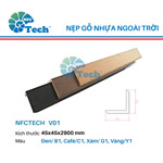 Thanh nẹp gỗ nhựa ngoài trời V01