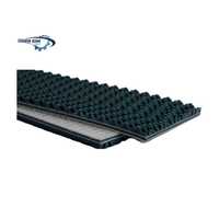 Băng tải PVC gai lượn sóng 5mm