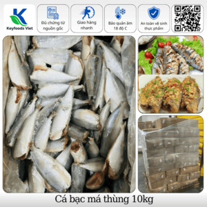 Cá bạc má thùng 10kg