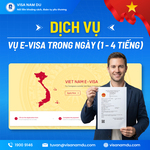 E-visa trong ngày