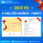 E-visa tiêu chuẩn