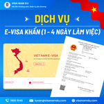 E-visa khẩn