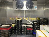 Kho lạnh công nghiệp
