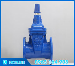 Van cổng ty chìm nắp chụp AUT