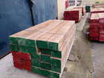 Gỗ giá tỵ