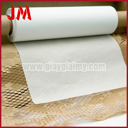 Giấy lót giày