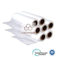 Túi PE cỡ nhỏ W20 – 500mm